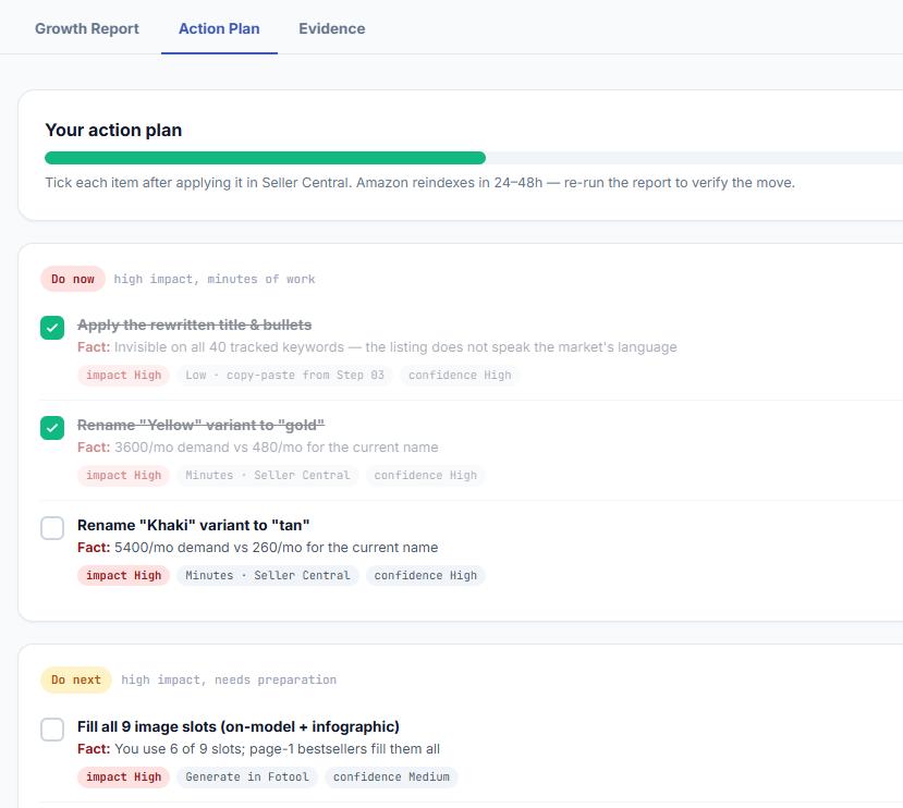 Fotool prioritized action plan grouped into do now and do next tasks